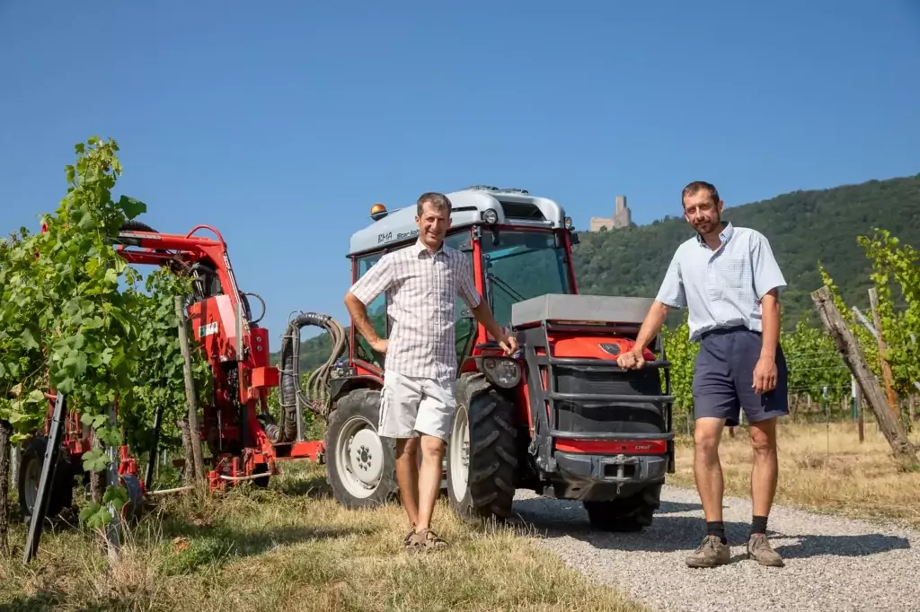 Pascal et Guy Ruhlmann avec le tracteur du Domaine à Scherwiller