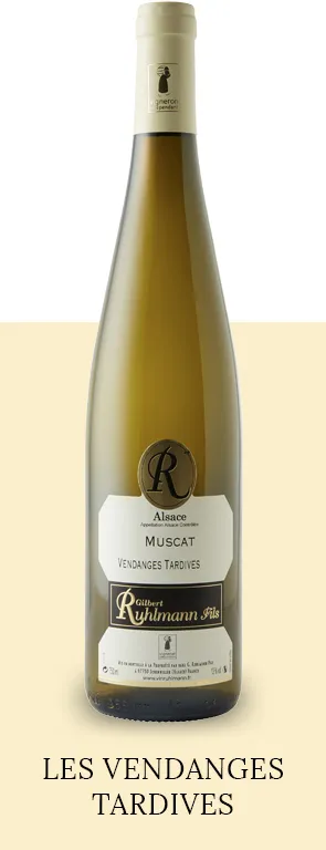 Vendanges tardives au Domaine Ruhlmann à Scherwiller